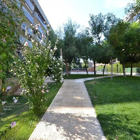 Wvp - New Pineda